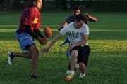 OTFL Gallery Image